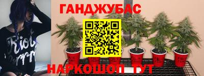 а пвп мука Аргун