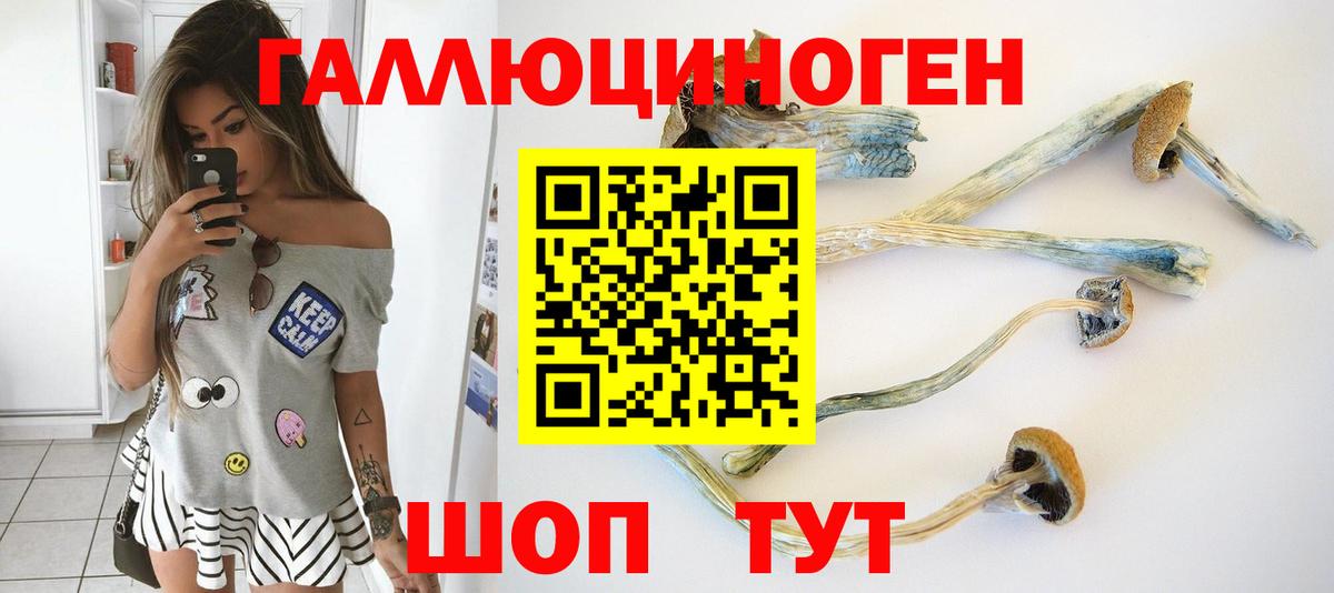 Псилоцибиновые грибы GOLDEN TEACHER Волжск